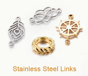 Stainless Steel Links
