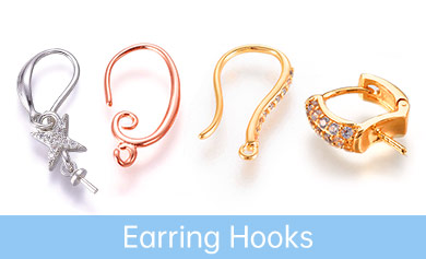 Earring Hooks